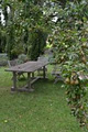 Kilby Park Tree Farm image 5