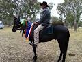 Lenbridge Manor Australian Stock Horses image 4
