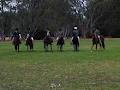 Lenbridge Manor Australian Stock Horses image 6
