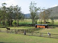 Mainstay Equestrian Centre image 1