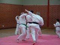 Makoto Ryu Freestyle Karate Modbury image 3