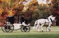 Meander Horse-Drawn Coaches & Vintage Cars image 2