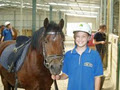Melbourne Indoor Equestrian Centre image 3