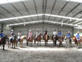 Melbourne Indoor Equestrian Centre logo