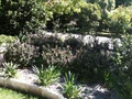 North Shore Landscaping & Gardening Service image 5