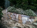 North Shore Landscaping & Gardening Service image 1