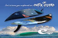 Outer Island Surfboards logo