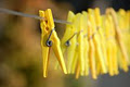 Perth Clotheslines image 3