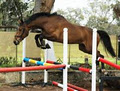 Perth Performance Horses image 1