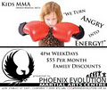 Phoenix Evolution - Martial Arts Centre image 6