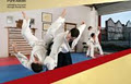 Pure Aikido image 1