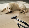 Ruthies Carpet Cleaning image 5