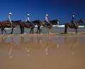 Sahara Trails Horse Riding and Farmstay Accommodation image 2