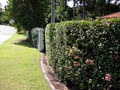 Scissorhands, Lawns, Hedges & Total Garden Care. image 2