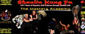 Shaolin Kung Fu Academy image 4