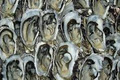 Simounds Seafood Mawson Lakes image 6