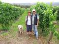 Somerset Hill Winery & Vineyard image 2