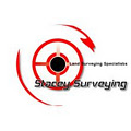 Stacey Surveying logo