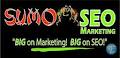 Sumo SEO Marketing image 6