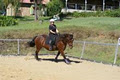 Sundown Lodge Equestrian - Horse Riding Lessons image 2