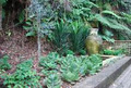 Sydney Landscaping Specialists - Designer Green image 4