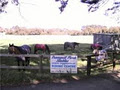 TRANQUIL PARK STABLES AND HORSE RIDING MELBOURNE image 4