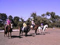 TRANQUIL PARK STABLES AND HORSE RIDING MELBOURNE image 6