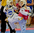 Tans Taekwondo image 3