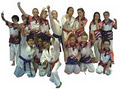 Team Taekwondo image 2