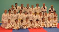 Team Taekwondo image 3