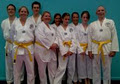 Team Taekwondo image 4