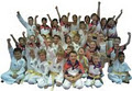 Team Taekwondo logo