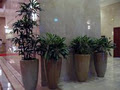 Trans-Plant Indoor Garden Hire image 5