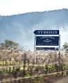Tyrrell's Wines logo