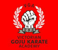 Victorian Goju Karate Academy - Bayside Melbourne image 1