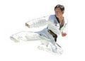 Whang's Black Belt Taekwondo Academy image 2