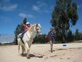 Yggdrasil Equestrian Training image 3