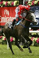 Your Horse Syndications image 4