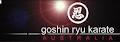 goshinryu karate image 5