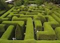 Ashcombe Maze & Lavender Gardens image 1