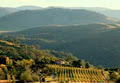 Brindabella Hills Winery logo