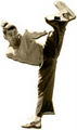 Capoeira Topazio Professional Shows image 2