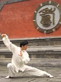 Chi-Chinese Healing College image 4