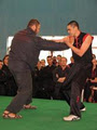 Choy Lee Fut Kung Fu image 3