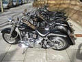 Classic Touch Harley - Harley Wedding Hire Adelaide image 4