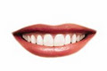 Dr Brett Kerr - Orthodontist Brisbane - Invisalign specialist clear braces image 5