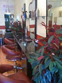Excellence In Hair & Beauty Salon image 2