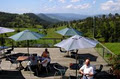 Green Mountain Scenic View Cafe logo