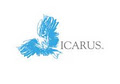 Icarus Design image 2