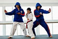 Martial Arts Spirit Taekwondo image 1